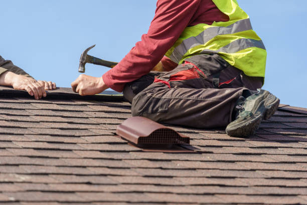 Best Metal Roofing Contractor  in Vine Grove, KY