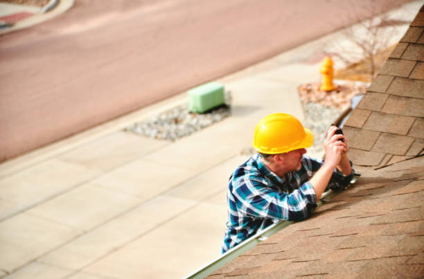 Best Metal Roofing Contractor  in Vine Grove, KY