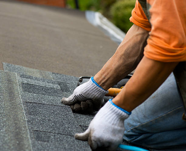 Best Flat Roof Repair Services  in Vine Grove, KY