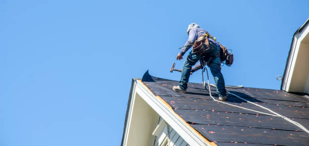 Best Gutter Installation and Roofing  in Vine Grove, KY